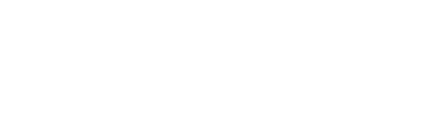 Stecky